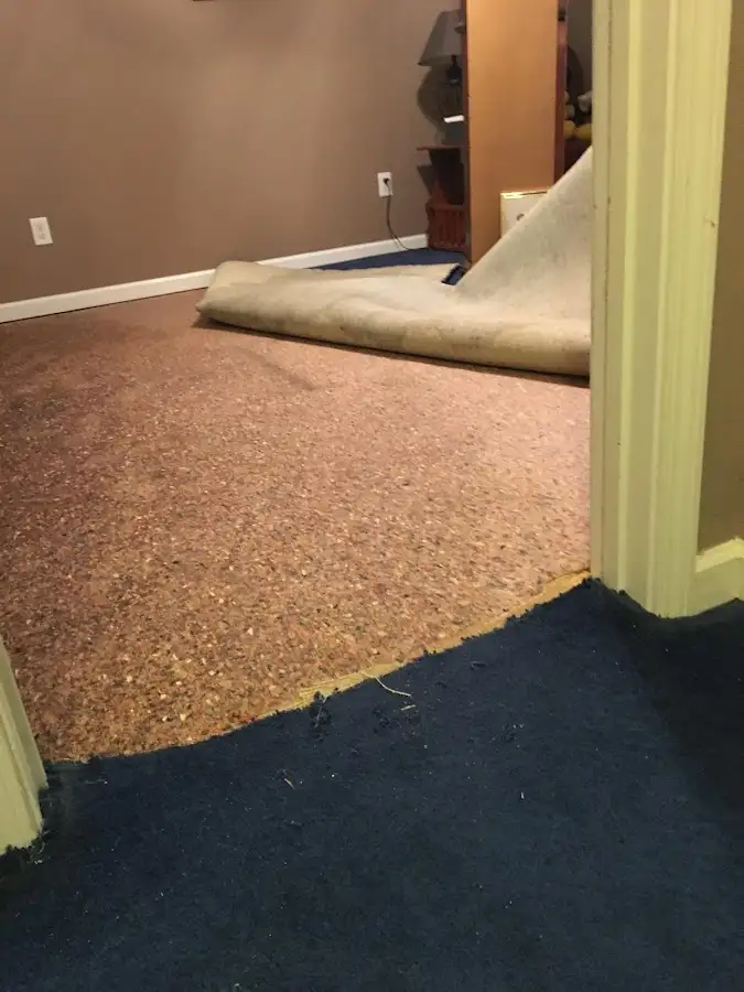 Carpet pad removal revealing water damage during Drying & Dehumidification in St. Peter