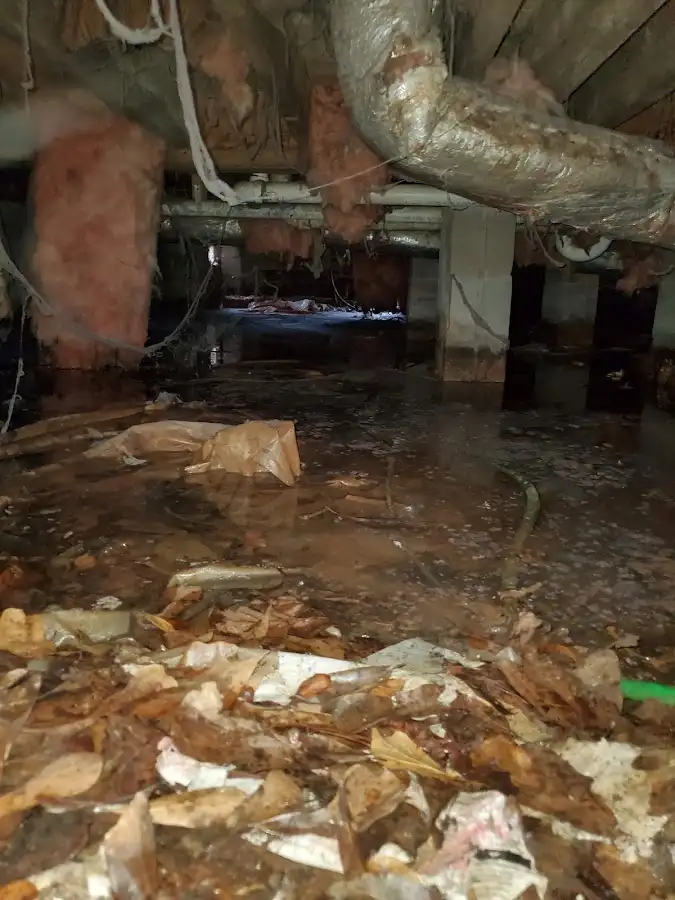 Crawl space flood assessment for Commercial Water Damage Restoration in St. Peter