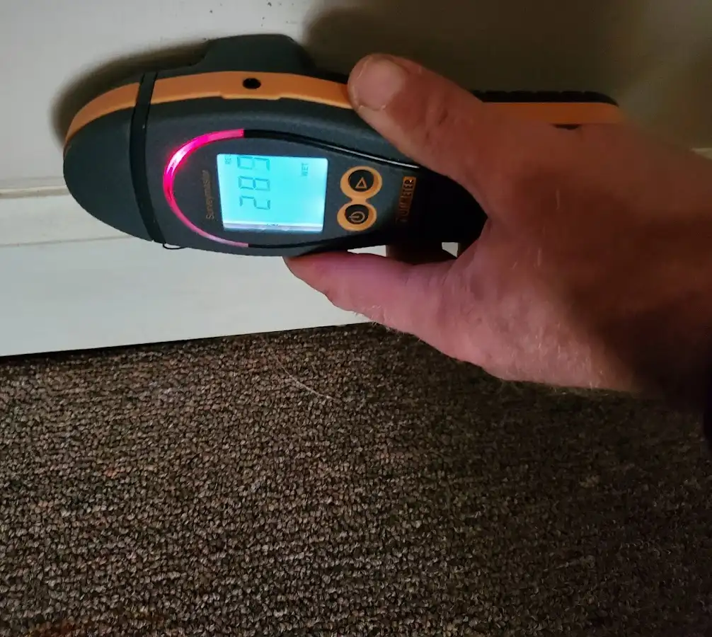 Moisture detection at baseboard during Burst Pipe Cleanup in St. Peter